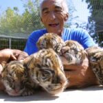 Zoo de Fréjus : Récits marquants d&rsquo;une expérience animalière en France.