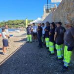 Des agents du Pradet formés à repérer les traces de ponte des tortues couanne.