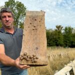 Sécheresse : les héliciculteurs menacés par une perte de 50 à 70 % des escargots