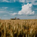 Loi d&rsquo;urgence agricole : la Confédération paysanne et huit associations saisissent le Conseil constitutionnel.