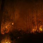 Incendies : le GIEC annonce une augmentation des risques en Europe, selon un climatologue.