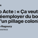 Réemployer du bois issu d’un pillage colonial : enjeux et perspectives en France.
