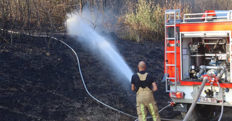 Feu de forêt dans la Drôme : 370 hectares brûlés et intervention des pompiers en cours.