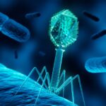 Des virus créés par l&rsquo;IA suscitent des inquiétudes parmi les chercheurs en santé publique.