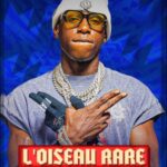 L’Oiseau Rare : Artiste musicien et producteur influent dans le secteur musical français