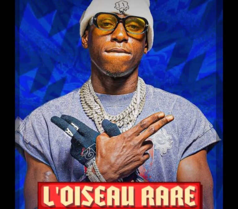 L’Oiseau Rare : Artiste musicien et producteur influent dans le secteur musical français