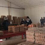 L&rsquo;ambassadeur d&rsquo;Angola inspecte la ferme avicole de la SOGADA pour renforcer la coopération agricole.