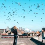 Surpopulation des pigeons à Bruxelles : une gestion jugée ingérable par les autorités locales.