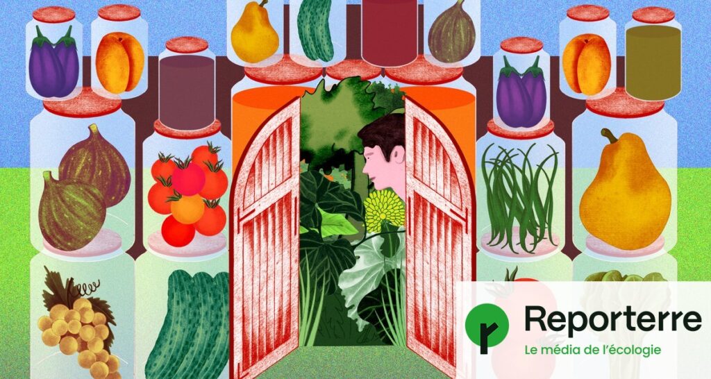 Les jardins communautaires comme réponse à l’actualité dramatique en France.