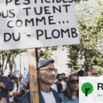 Le Conseil constitutionnel valide la loi d’urgence agricole et réintroduit l’acétamipride.