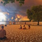 Canicule : mortalité record, pompiers exténués et agriculture sinistrée en France.