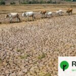 La COP17 sur la désertification se termine sans consensus sur des actions concrètes.