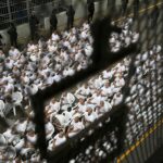 Prison : le modèle Bukele du Salvador suscite un débat sur la réforme en France