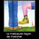 Étude révèle l’importance de la marche pour la santé publique en France