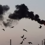 L&rsquo;IA favorise la production de pétrole et de gaz au détriment des énergies vertes.
