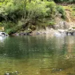 Canicule : les risques sanitaires liés aux baignades improvisées en milieu naturel