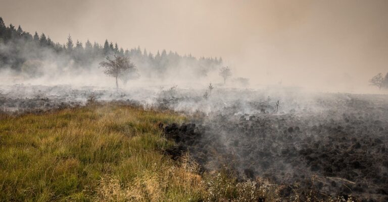 Incendie dans les Fagnes : Bart De Wever évoque 3.000 hectares brûlés et évacuations.