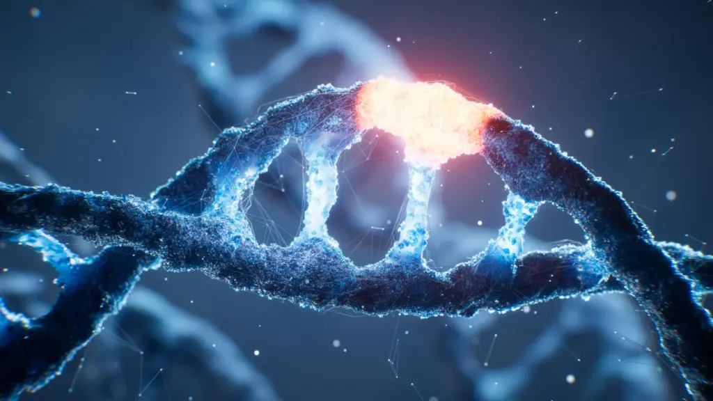 Des scientifiques réussissent à utiliser 8 lettres d’ADN au lieu de 4 traditionnelles.