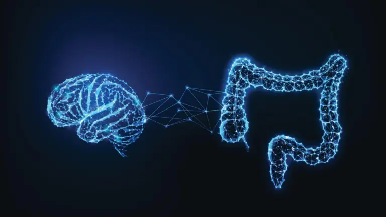 Le microbiote intestinal influence les mécanismes de mémoire au sein du cerveau.