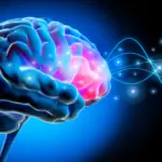 Découverte d’un rythme cérébral caché pouvant améliorer le traitement de la maladie de Parkinson