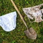 Des scientifiques demandent à 1 000 personnes d&rsquo;enterrer leurs sous-vêtements pour une étude.