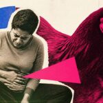 Poulet industriel : une étude révèle une hausse des cas de gastro-entérites due à une bactérie