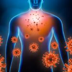 Covid-19 : le Sars-CoV-2 pourrait activer des virus latents chez l’homme.