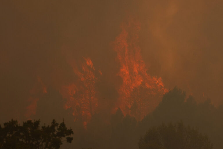 Incendies en France : 156 mineurs parmi des centaines d’interpellations