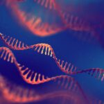 Valerio Therapeutics acquiert des gènes d&rsquo;une entreprise belge pour ses recherches.