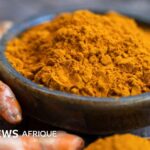 Mythes et réalités sur le curcuma : les compléments alimentaires en question pour la santé