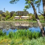 Jardins extraordinaires : exploration de paysages naturels variés et surprenants