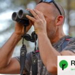 Un rapace rare ne pond qu&rsquo;un œuf par an, les naturalistes surveillent chaque nid.