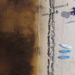 Au Mexique, les sargasses rendent les plages peu attractives pour les touristes.