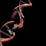 Des chercheurs découvrent que le cancer modifie son ADN pour favoriser sa croissance.