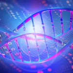 Des scientifiques transforment l’ADN en dispositif de mémoire consommant 100 fois moins d’énergie.