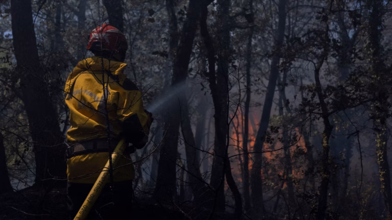 Incendie dans le Var : les pompiers confrontés à des conditions météo difficiles.