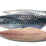 Filets de maquereaux