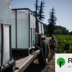 Irrigation des vignes : une pratique acceptée face aux canicules en France.
