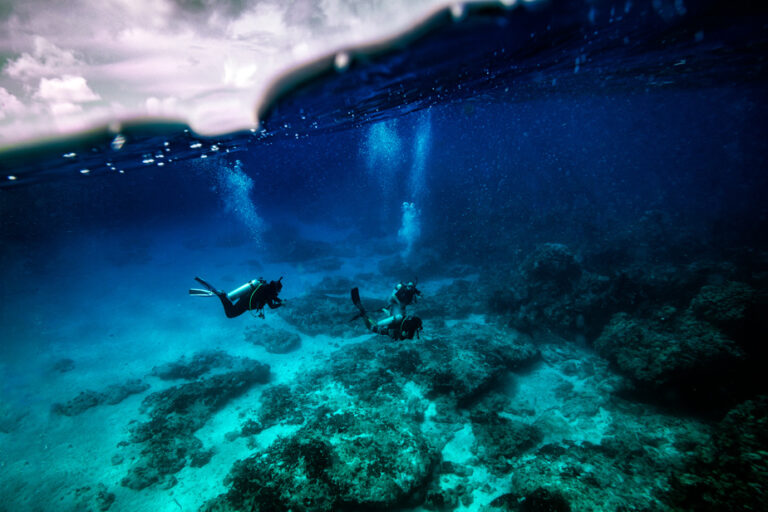Nocturne à Cozumel : Exploration nocturne des récifs coralliens par des chercheurs marins.
