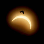 Éclipse solaire : photos révélant la couronne et les protubérances du Soleil publiées.