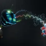 Des scientifiques ont visualisé la structure quantique d&rsquo;une molécule cachée.