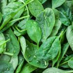 Manger des épinards le soir : recommandations nutritionnelles des experts en santé.