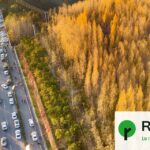 Des arbres pollués contribuent à la pollution de l&rsquo;air dans certaines zones urbaines.