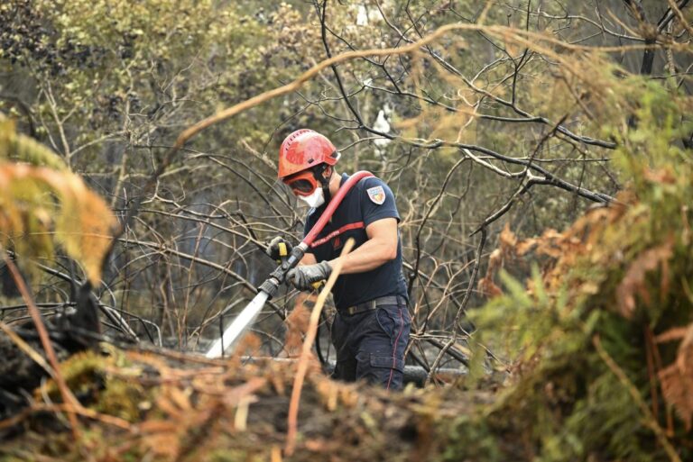 Incendie en Landes : les évacués de Luglon peuvent rentrer chez eux après la fixation du sinistre.