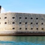 Fort Boyard : une candidate ingère un poisson qui urine à travers sa peau.