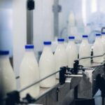 Pénuries de lait en Belgique : la surproduction actuelle ne sera pas durable.