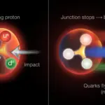 Des physiciens découvrent une structure cachée de gluons dans les protons, remettant en question des concepts fondamentaux.