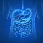 Des médicaments courants modifient durablement la flore intestinale, selon des chercheurs.