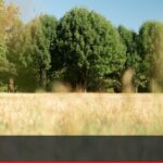 Canicule : adaptation des parcs de Lyon et Villeurbanne face aux températures élevées