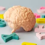 Des études révèlent que les personnes multilingues ont un cerveau jusqu’à 13 ans plus jeune.